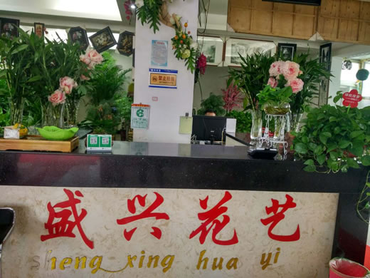 乐平盛兴花艺，乐平园林工程、乐平花卉