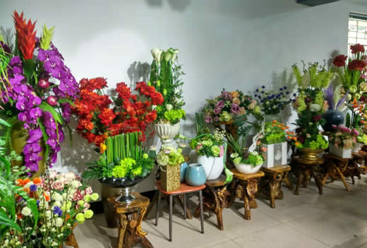 乐平盛兴花艺，乐平园林工程、乐平花卉