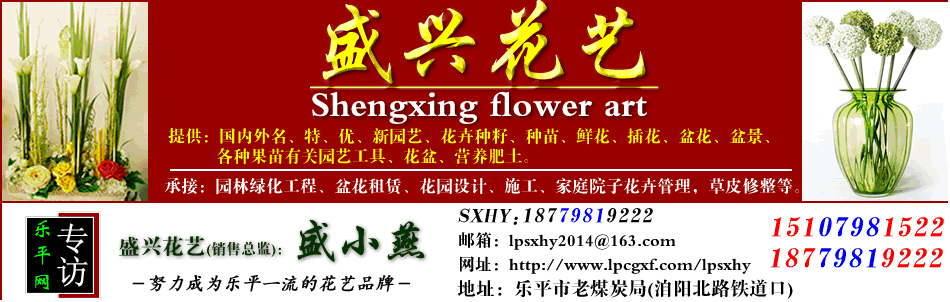乐平盛兴花艺，乐平园林工程、乐平花卉