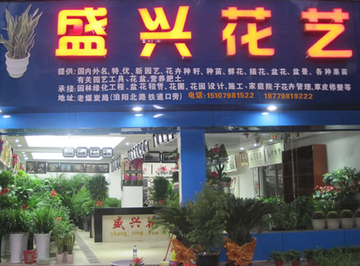 乐平盛兴花艺，乐平园林工程、乐平花卉