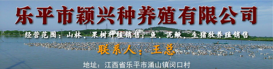 乐平生猪养殖，泥鳅养殖，山林果树种植销售