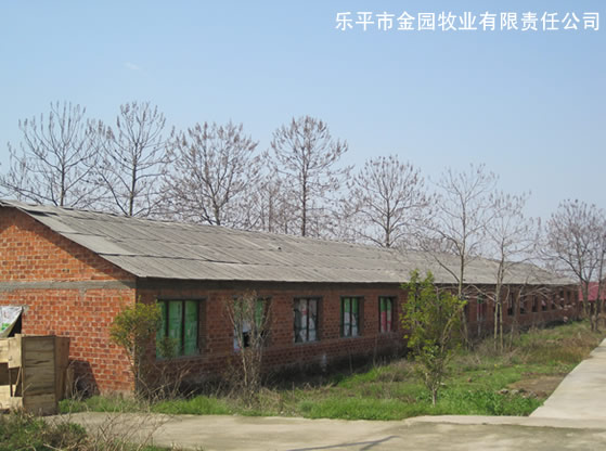 乐平农科园种猪厂，乐平种猪，