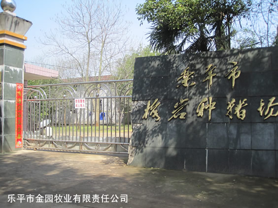 乐平农科园种猪厂，乐平种猪，
